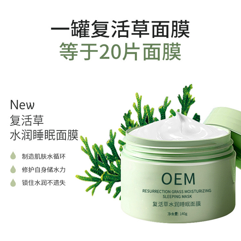 丝丽_复活草睡眠面膜OEM
